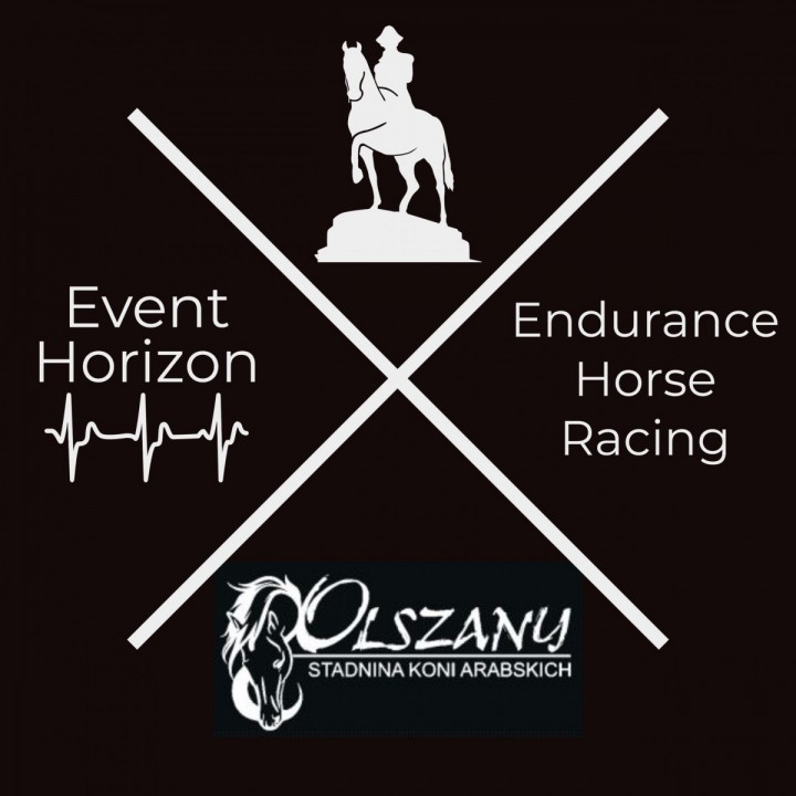 Endurance Horse Training